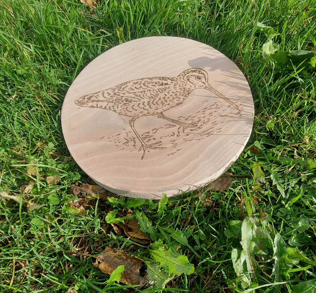 Dessous de plat bécasse 