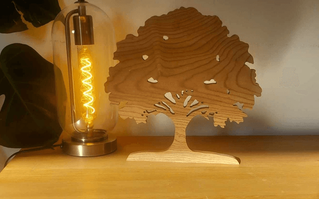 Arbre orme 